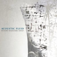 ACOUSTIC FLUID / RYOSUKE HASHIZUME GROUP (2012)