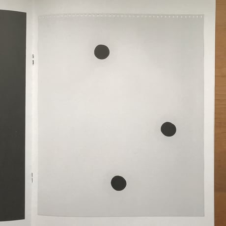 KRINK "Black in Sunlight and Black in Shadow"