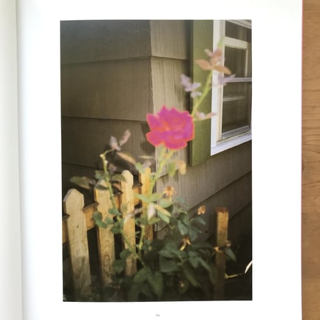 MIKE MILLS "THUMBSUCKER, 2005"  Photobook