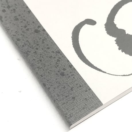 "Bulky Research in Asia zine" ALEXANDRE BAVARD aka MOSA