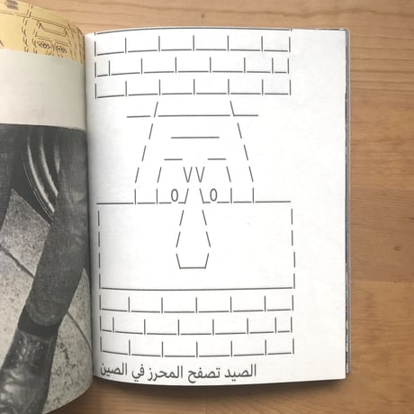 Barry McGEE "MCASB Limited Edition Field Guide"