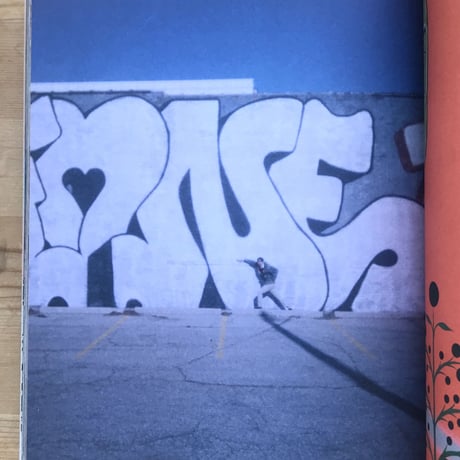 Barry McGEE "THIS HARSH REALITY"