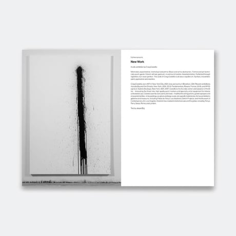 CRAIG COSTELLO "NEW WORK"