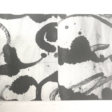 "Bulky Research in Asia zine" ALEXANDRE BAVARD aka MOSA