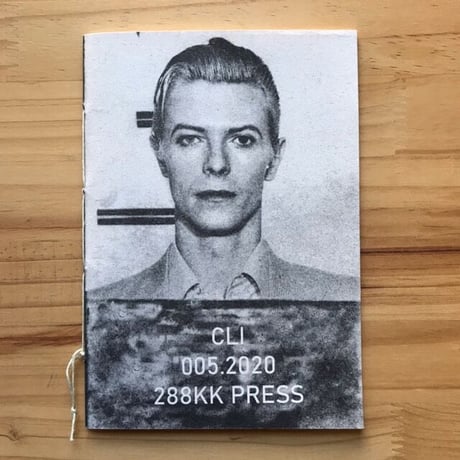 "MUG SHOT 005.2020" CLI