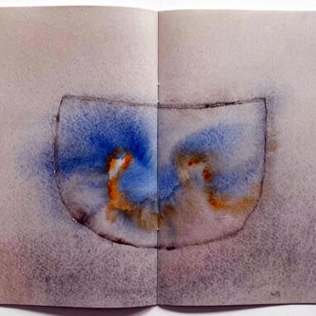 Mai-Thu Perret "A cage went searching for a bird"
