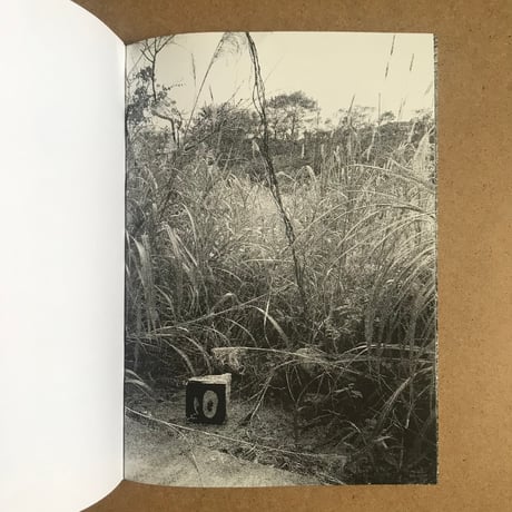 KINJO "FLAKES" (signed)