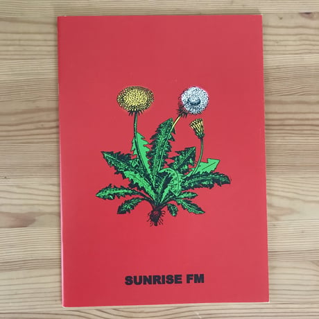 B.THOM STEVENSON "SUNRISE FM"