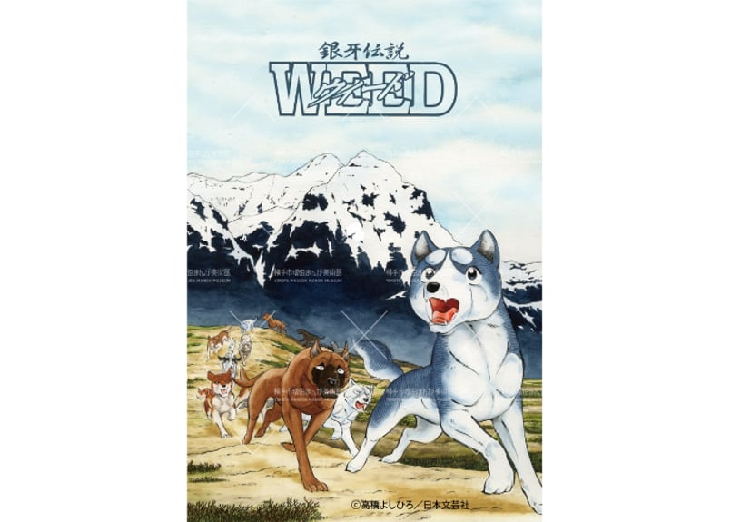 銀牙伝説 マグネットセット | 横手市増田まんが美術館