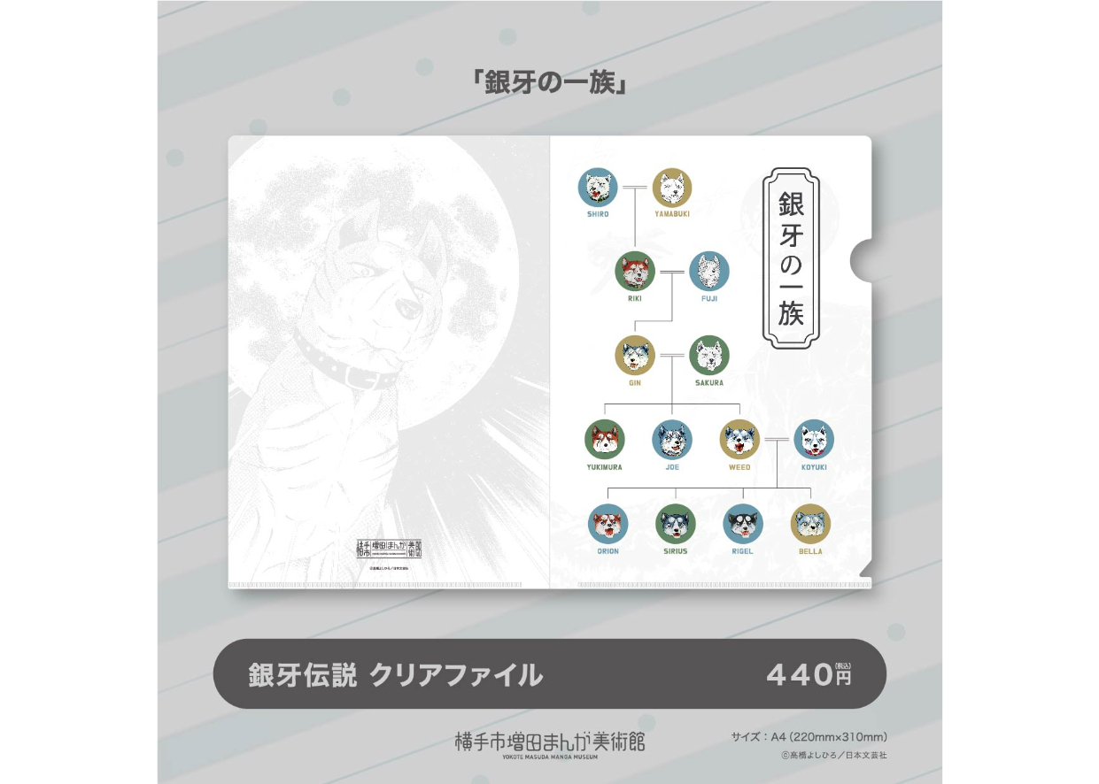 銀牙様 フォロー割 専用出品 original