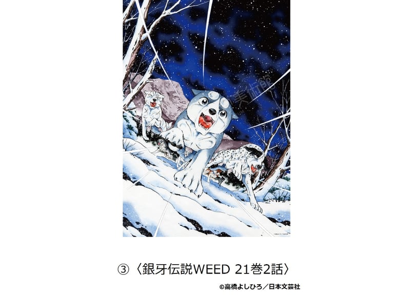 銀牙伝説 A4クリアポスター（全3種） | 横手市増田まんが美術館