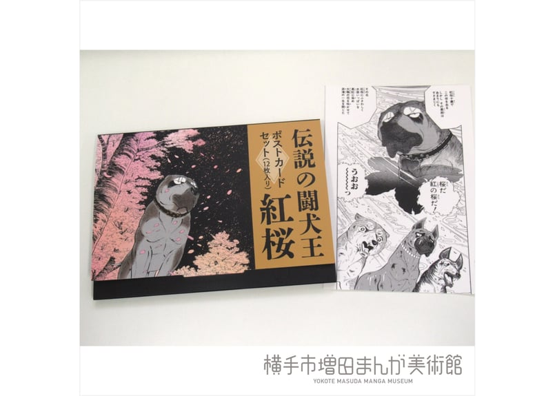 数量限定】銀牙-流れ星銀- 紅桜ポストカードセット | 横手市増田まんが 