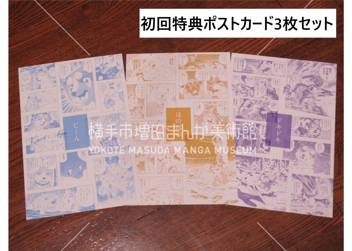 高橋よしひろ 画業50周年記念 展示会図録 | 横手市増田まんが美術館 高橋よしひろ 画業50周年記念 展示会図録 | 横手市増田まんが美術館