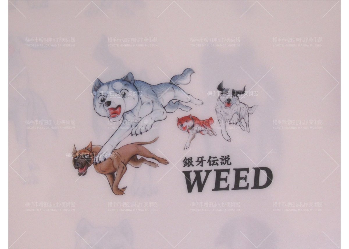銀牙伝説 クリアファイル(全2種) | 横手市増田まんが美術館 銀牙伝説 クリアファイル(全2種) | 横手市増田まんが美術館