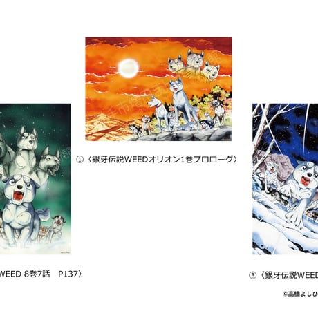 銀牙伝説ウィード | STORES