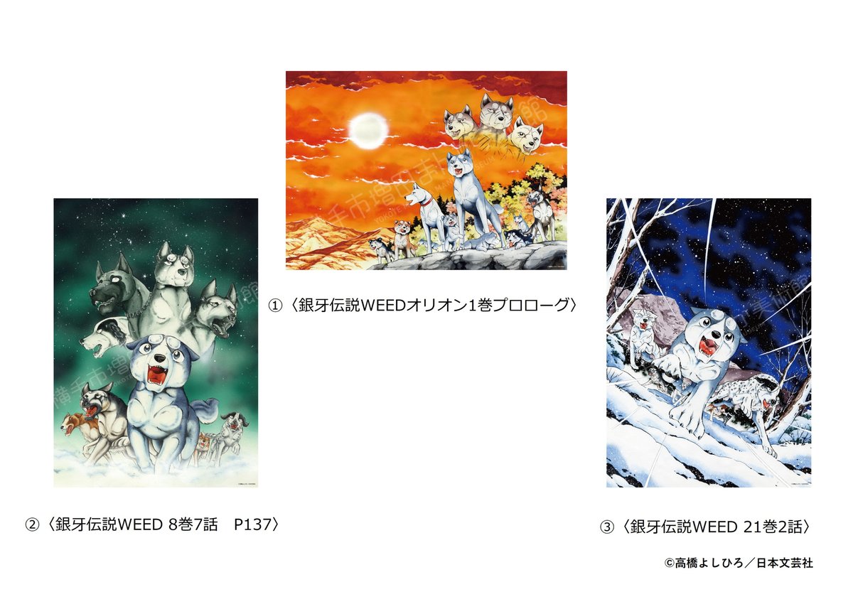銀牙伝説 A4クリアポスター（全3種） | 横手市増田まんが美術館