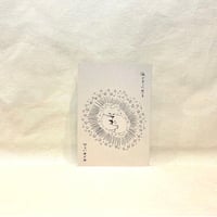 『泳ぐように光る』ひらいめぐみ【著者サイン入り】