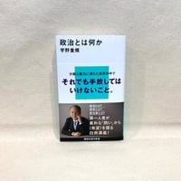 『政治とは何か』宇野重規