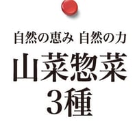 自然の恵み 自然の力 山菜惣菜3種