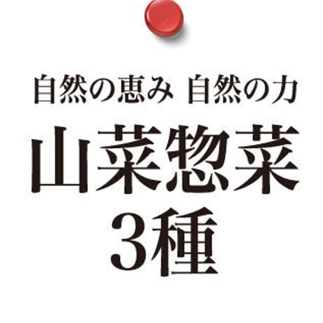 自然の恵み 自然の力 山菜惣菜3種