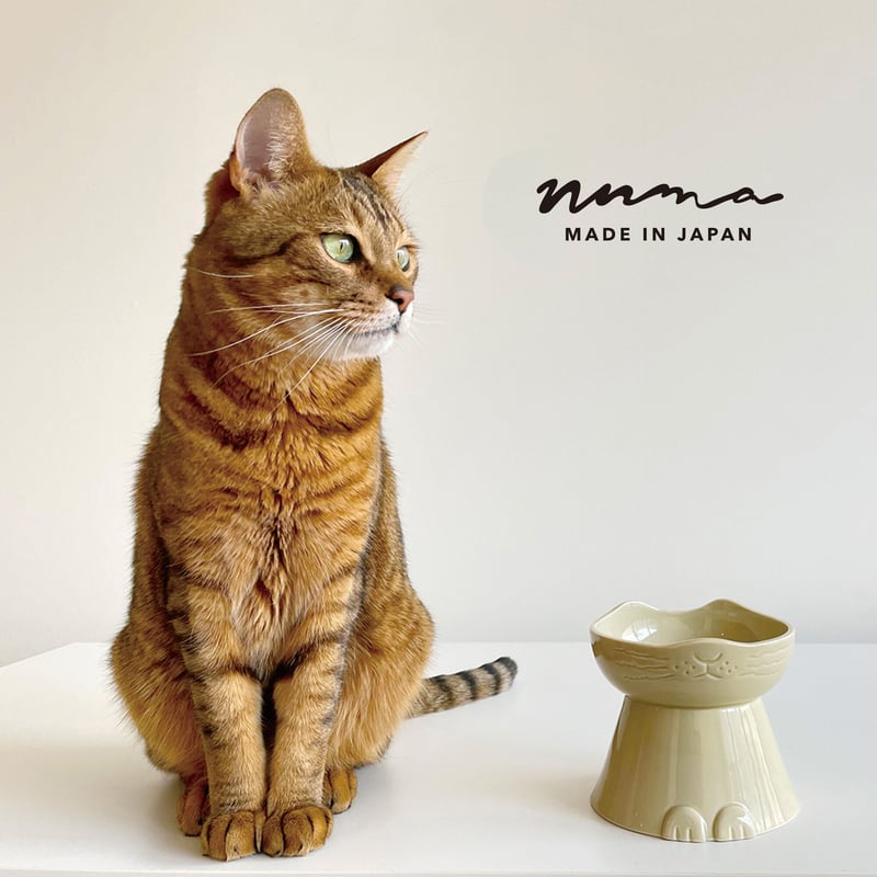 猫型フードボウル（くりーむ）【NN-1590】 | Artiste Village STORE