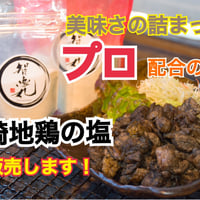 炭火焼用の塩(84g)　送料無料