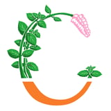 CONSE ONLINE SHOP