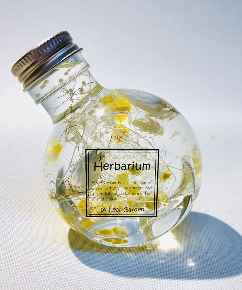 食品接触可能オイル使用♡固まるハーバリウムの皿イエロー 食品接触可能オイル使用♡固まるハーバリウムの皿イエロー インテリア