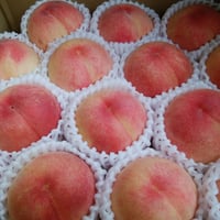 【７月下旬より発送】【特秀】【光センサー桃】福島県産桃  約３Ｋ （８玉～１０玉満杯詰）