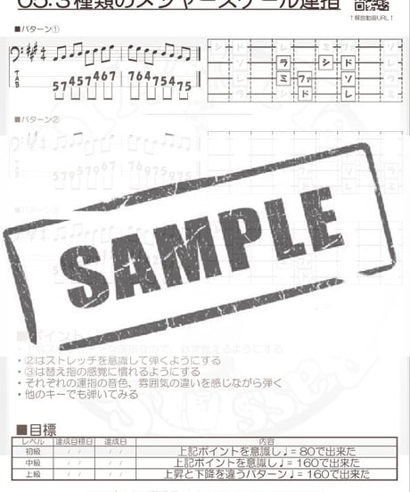 Pleasure Music Online STORE
