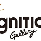 ignition gallery store