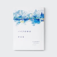 小山田浩子『パイプの中のかえる』