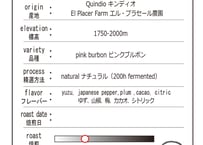 【Special Lot】 Colombia Pink Burbon (Natural)　コロンビア　ピンクブルボン（ナチュラル）