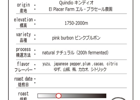 【Special Lot】 Colombia Pink Burbon (Natural)　コロンビア　ピンクブルボン（ナチュラル）