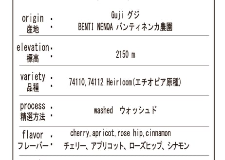 ethiopia guji Benti Nenqa [washed] エチオピア グジ バンティネンカ [ウォッシュド]