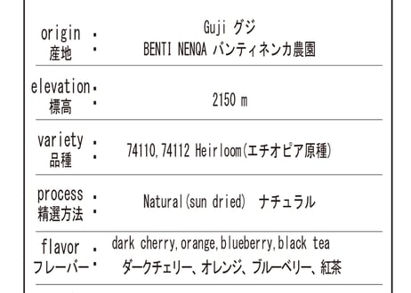 Ethiopia Guji (Natural) 　エチオピア　グジ（ナチュラル）