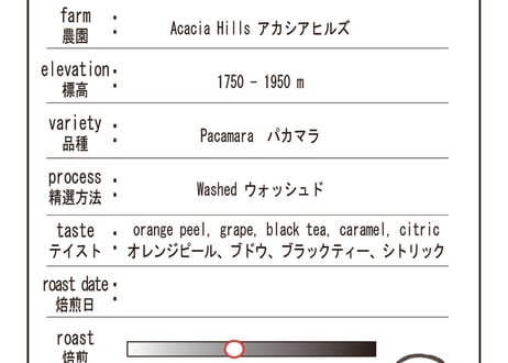 Tanzania Acacia Hills AA (Washed) 　タンザニア・アカシアヒルズAA（ウォッシュド）