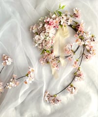 桜ひらひら 薄紅の花つむぎ（Monthly Lesson）