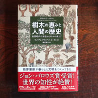 樹木の恵みと人間の歴史