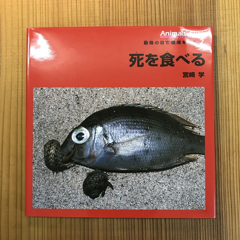 美本】アニマル アイズ／動物の目で環境を見る全5巻セット（宮崎 学