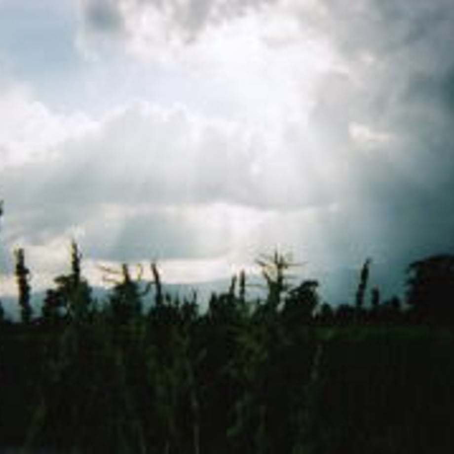 5f04766074b4e4438dea7043