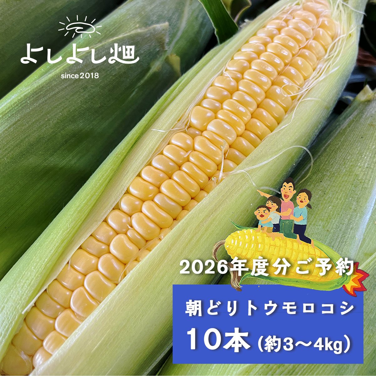 2026年予約販売】10本_甘さ弾けるトウモロコシ | よしよしonline畑