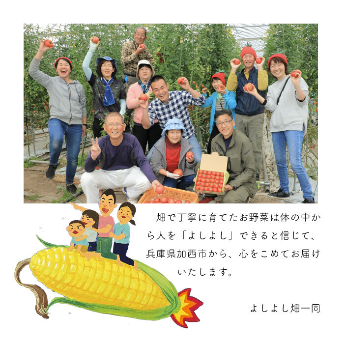 さち☆送料無料　スリムドカン ＆　びっくりスタイル !!＆マコモ粉末 4084525.jpg