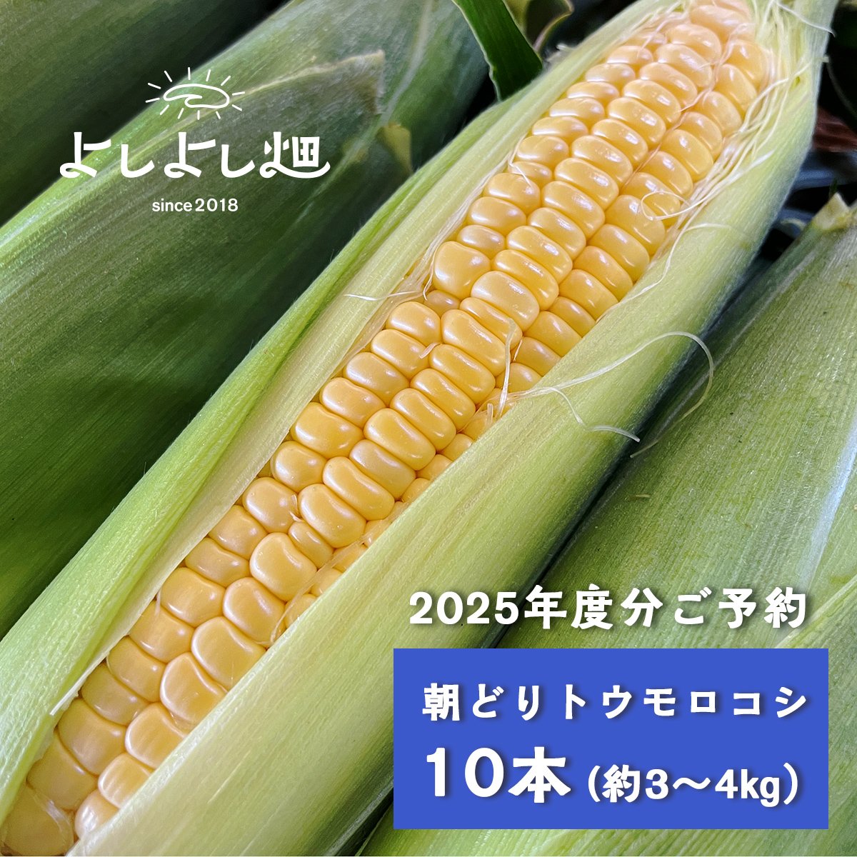 第三期予約会】10本_甘さ弾けるトウモロコシ | よしよしonline畑