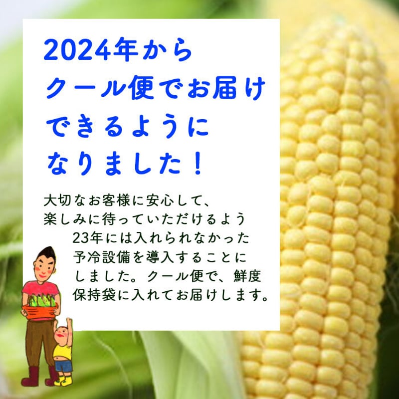 2026年予約販売】10本_甘さ弾けるトウモロコシ | よしよしonline畑
