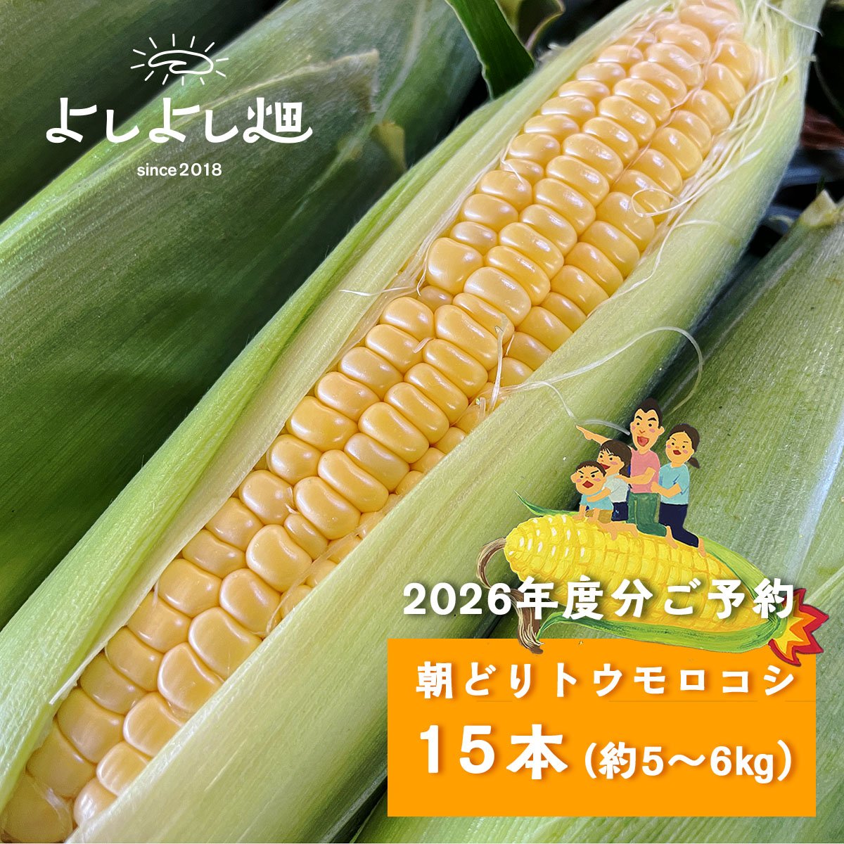 2026年予約販売】15本_甘さ弾けるトウモロコシ | よしよしonline畑