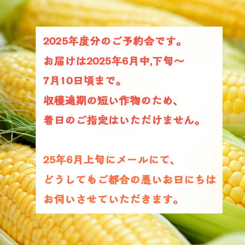 第三期予約会】10本_甘さ弾けるトウモロコシ | よしよしonline畑