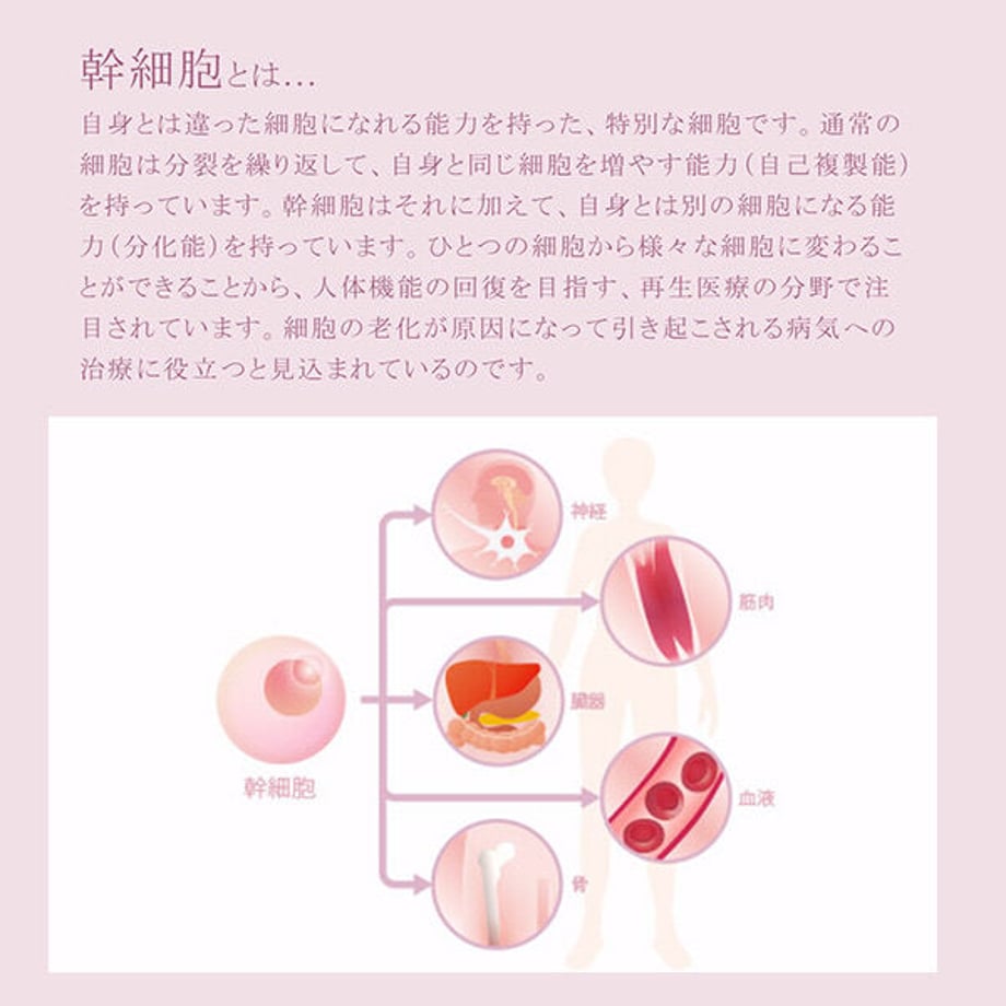 5fa4d35072eb464f2fb2cf0e