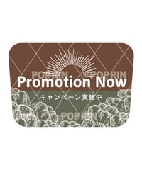 キャンペーン実施中　【ブラウン×グリーン】