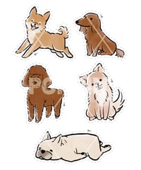 わんちゃんシリーズ 10種